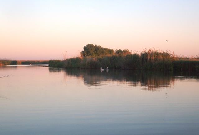 Doar ...  NATURA - sany6756.JPG